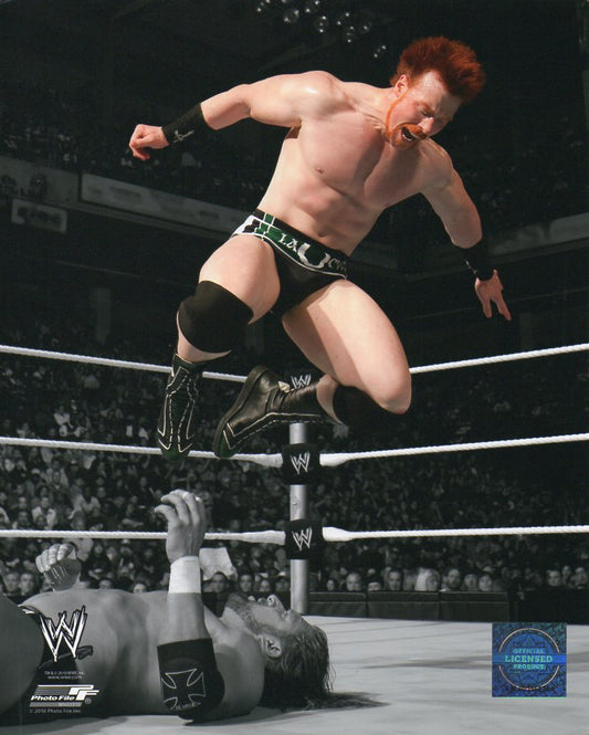 Sheamus WWE Photofile 8x10" Photo