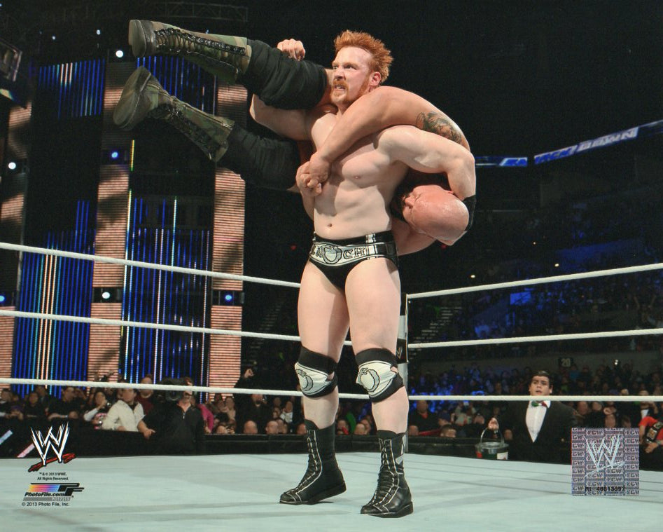 Sheamus WWE Photofile 8x10" Photo