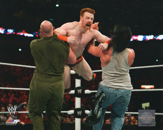 Sheamus WWE Photofile 8x10" Photo