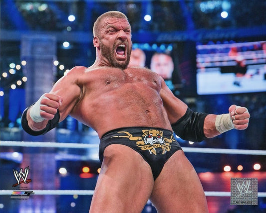 Triple H WWE Photofile 8x10" Photo