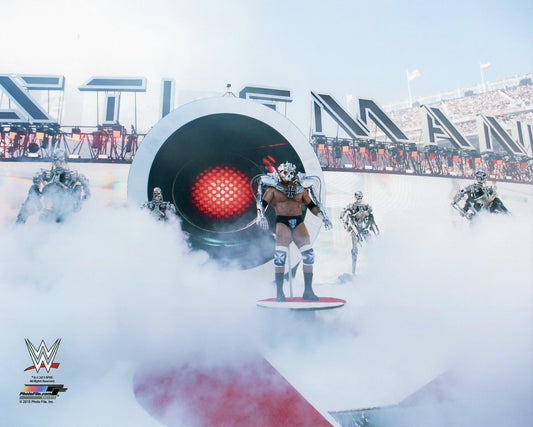 Triple H WWE Photofile 8x10" Photo