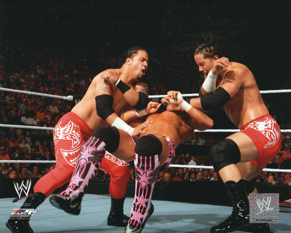 The Usos Jimmy & Jay WWE Photofile 8x10" Photo