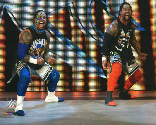 The Usos Jimmy & Jay WWE Photofile 8x10" Photo