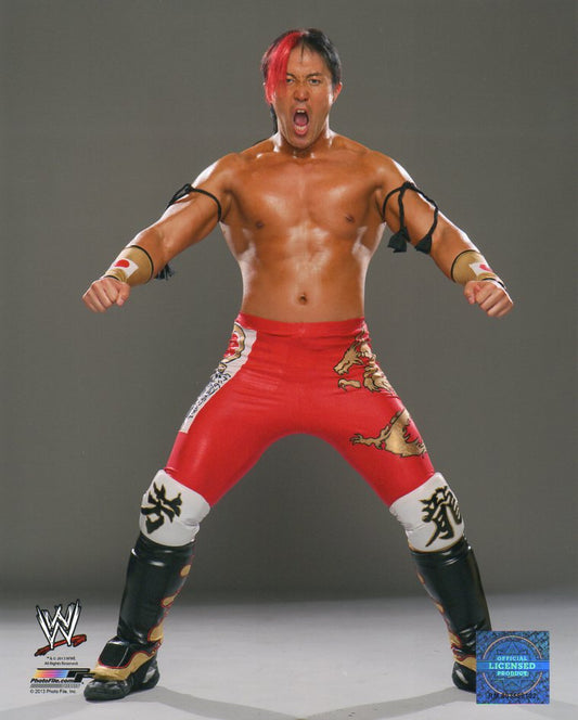 Yoshi Tatsu WWE Photofile 8x10" Photo