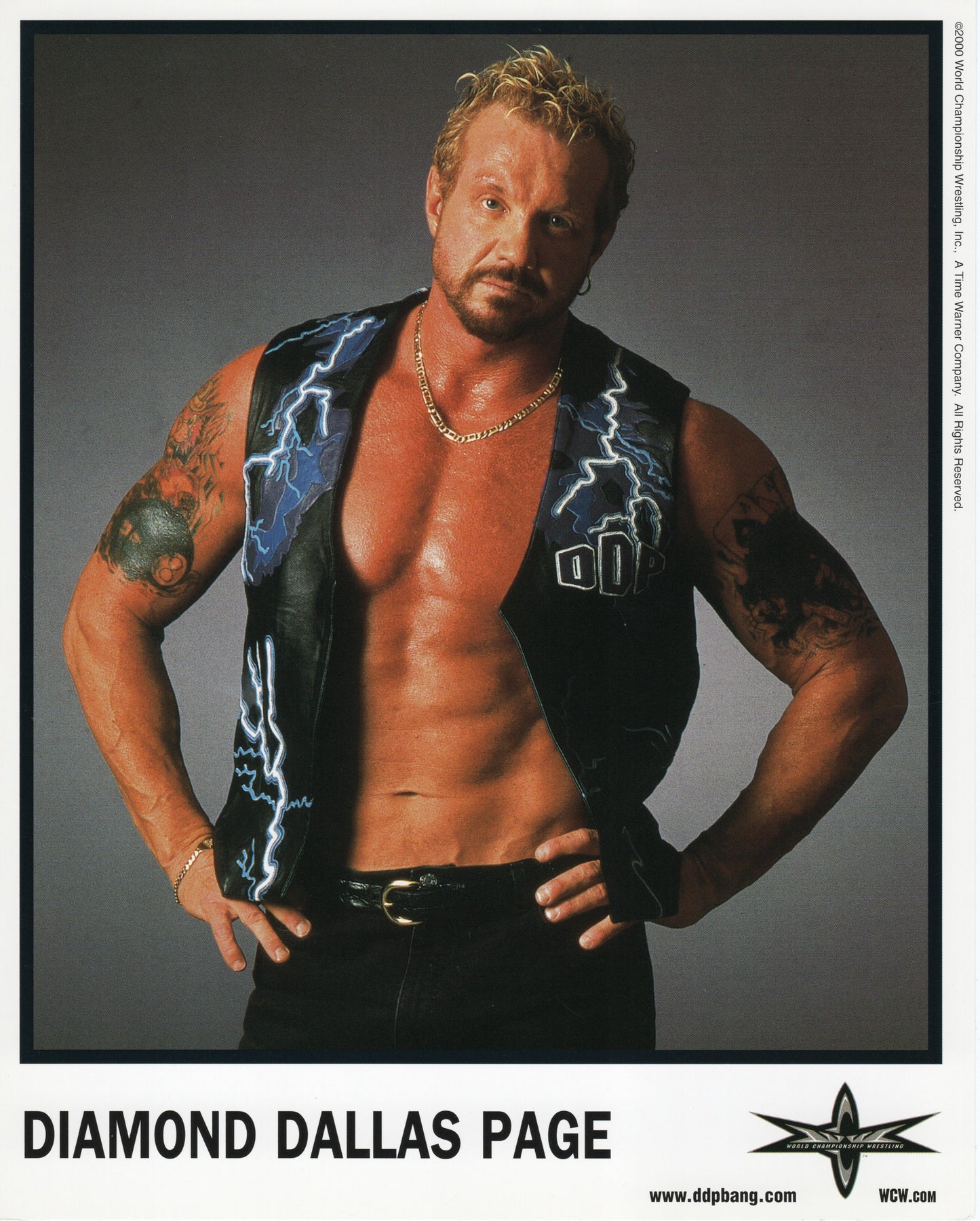 Diamond Dallas Page WCW Promo Photo