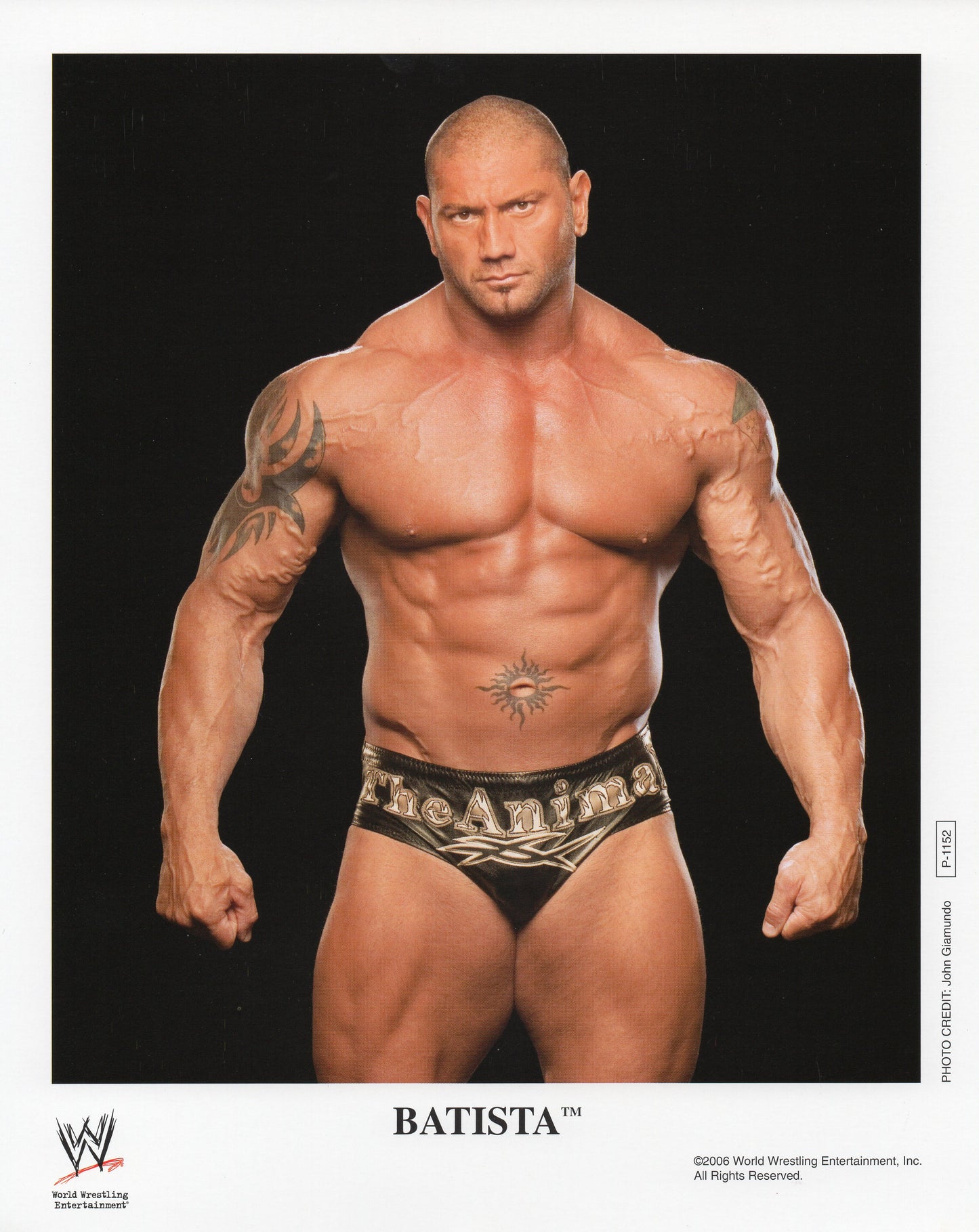 Batista WWE Promo Photo
