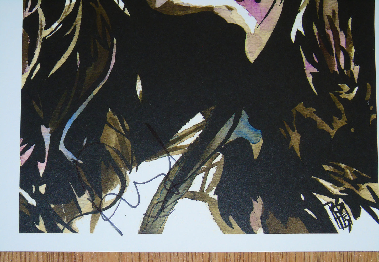 WWE AEW PAIGE SARAYA SIGNED ROB SCHAMBERGER POSTER