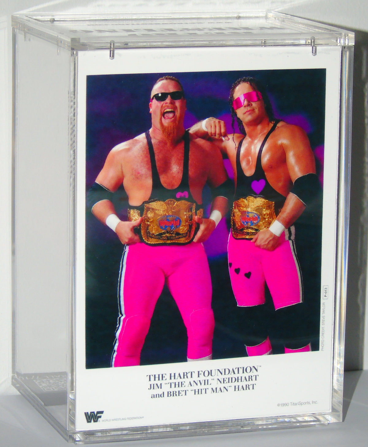 BRET HITMAN HART WWF WWE WRESTLING HASBRO ACTION FIGURE PURPLE HEART