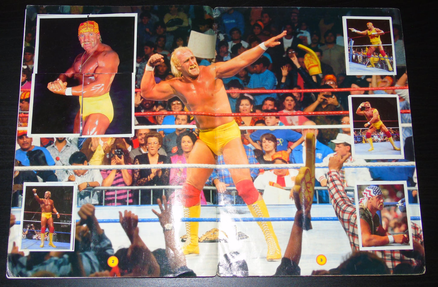 WWF MERLIN STICKER ALBUM 1992 COMPLETE WITH BONUS STAMPS