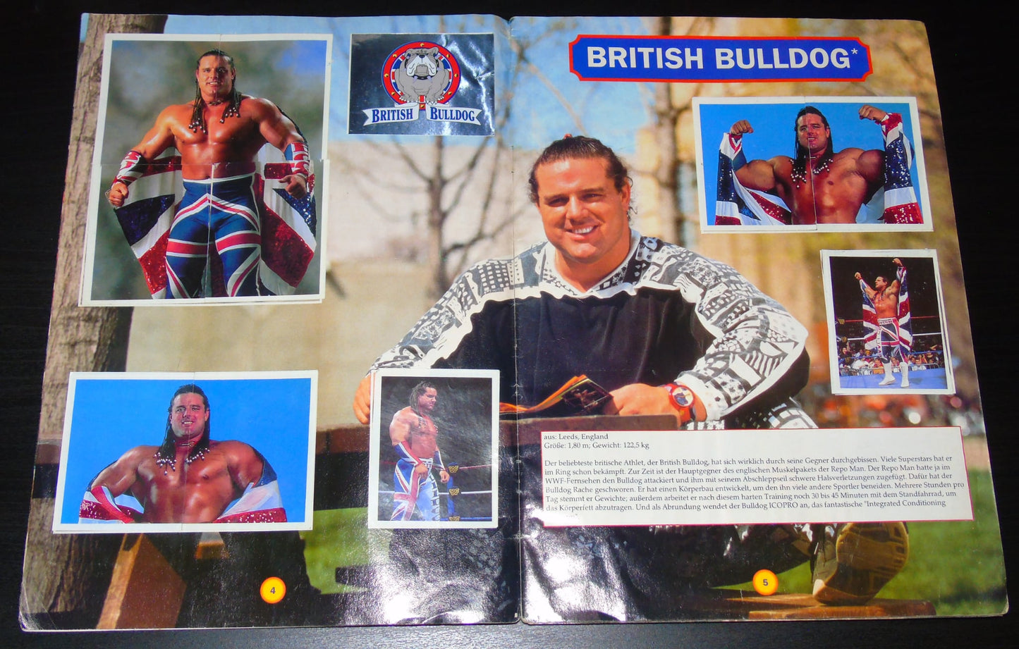 WWF MERLIN STICKER ALBUM 1992 COMPLETE WITH BONUS STAMPS
