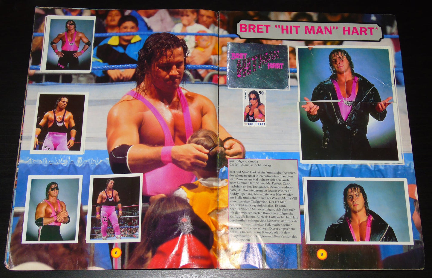 WWF MERLIN STICKER ALBUM 1992 COMPLETE WITH BONUS STAMPS