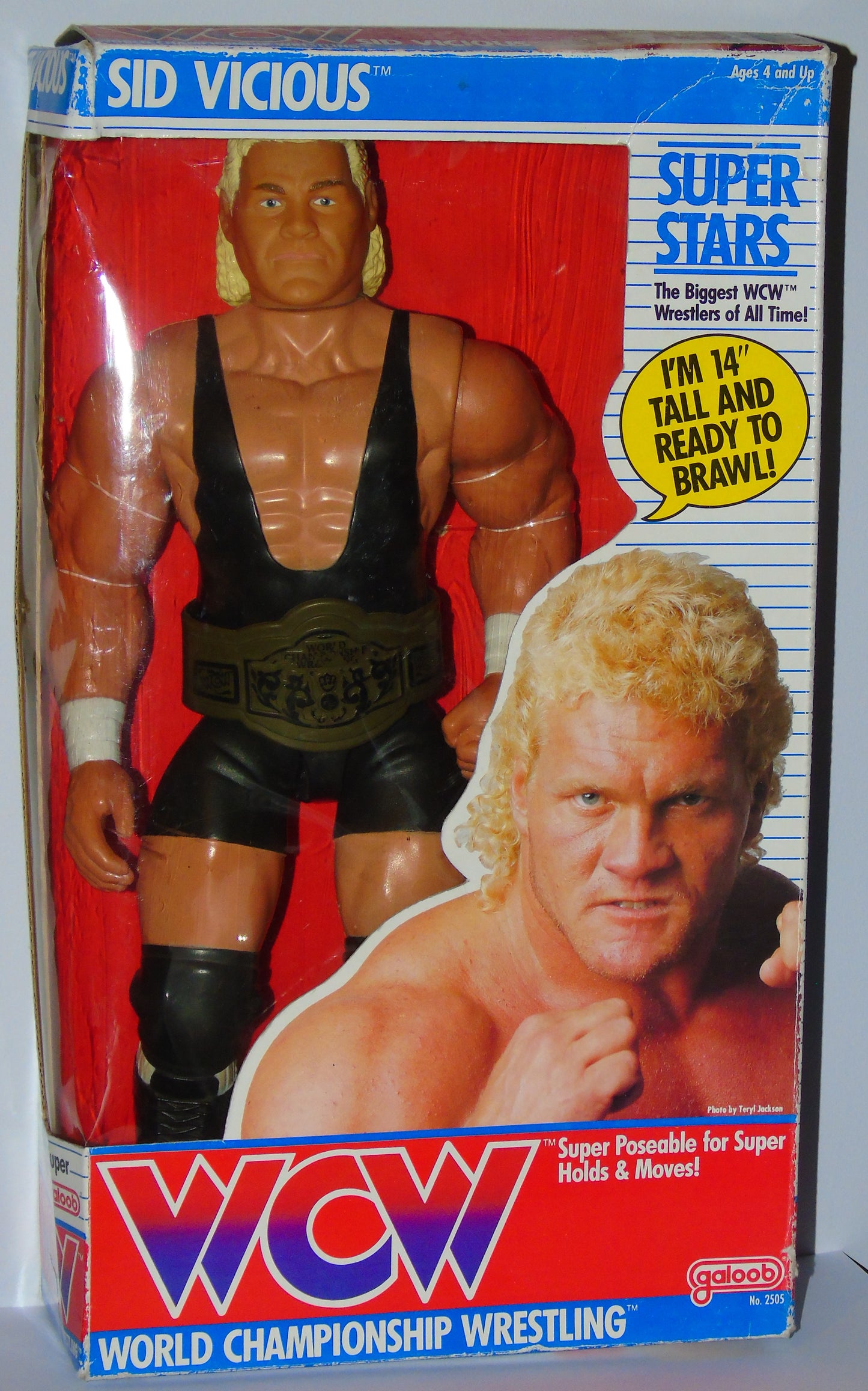 Sid Vicious WCW Galoob 14" Boxed Wrestling Figure