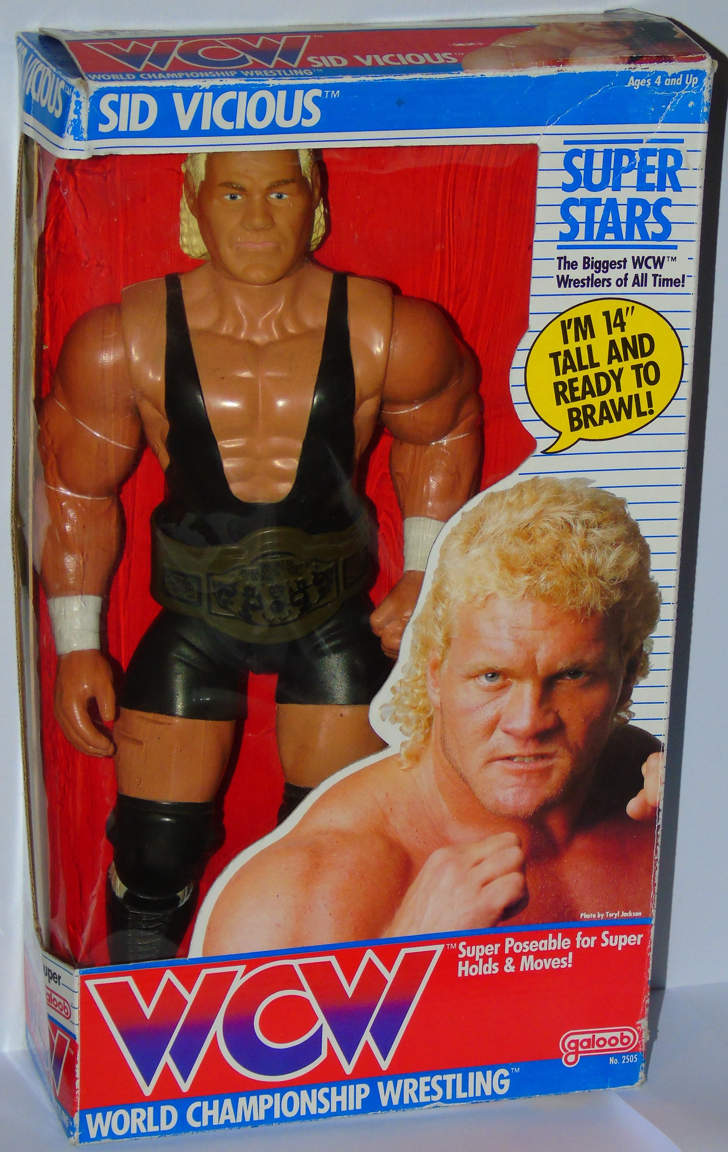Sid Vicious WCW Galoob 14" Boxed Wrestling Figure