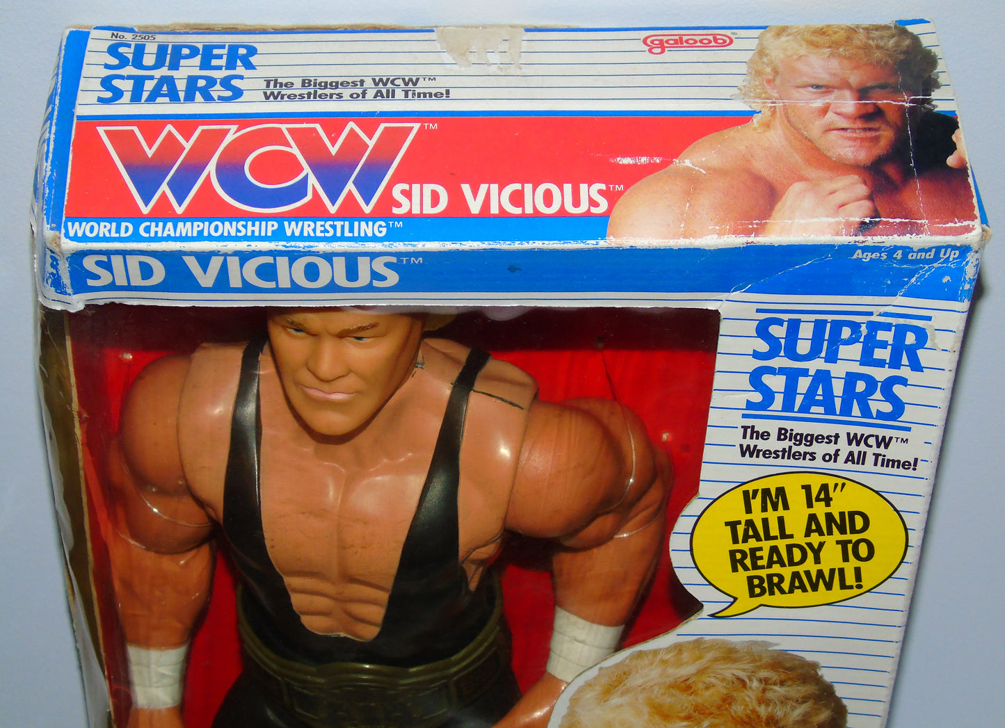 Sid Vicious WCW Galoob 14" Boxed Wrestling Figure