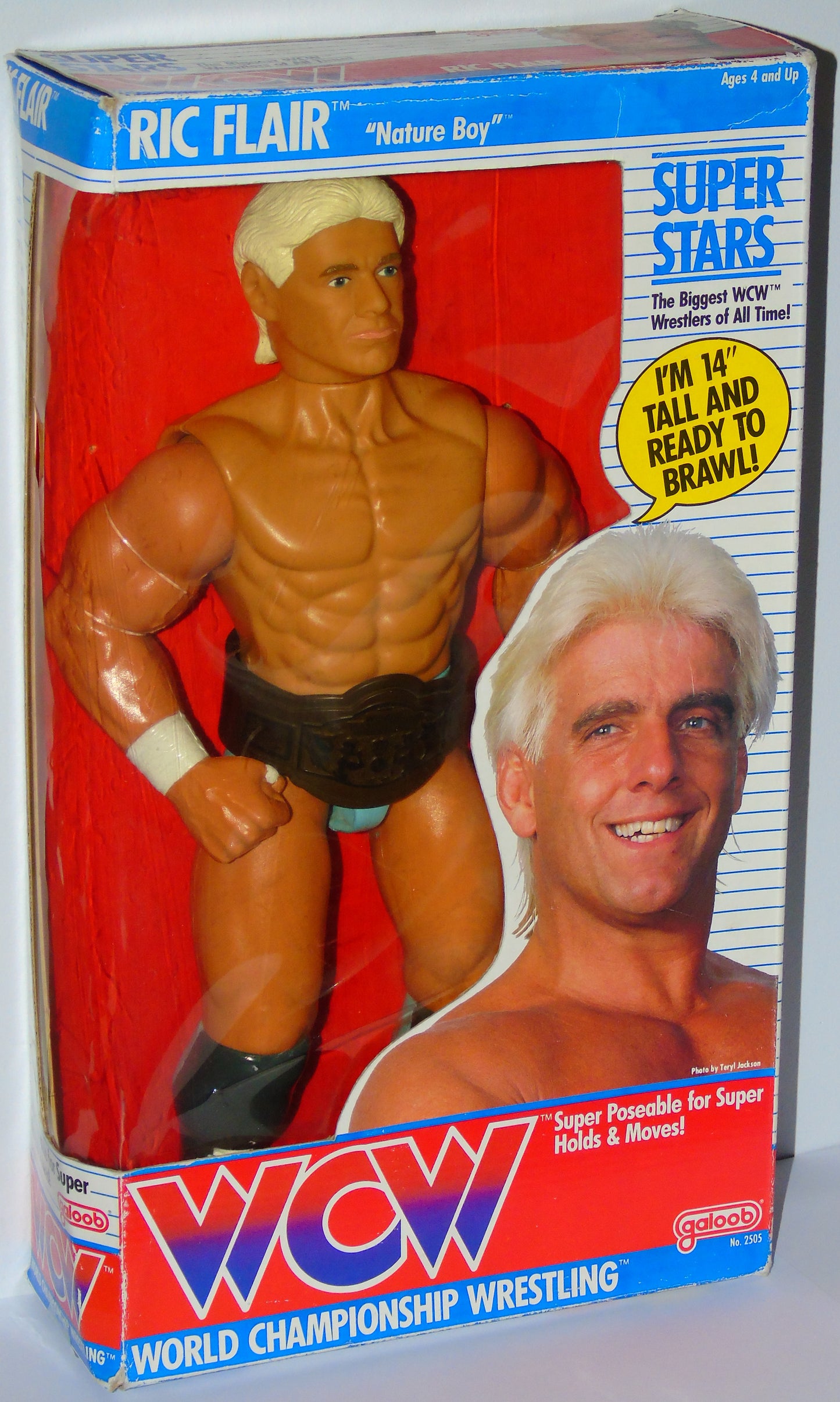 Nature Boy Ric Flair WCW Galoob 14" Boxed Wrestling Figure