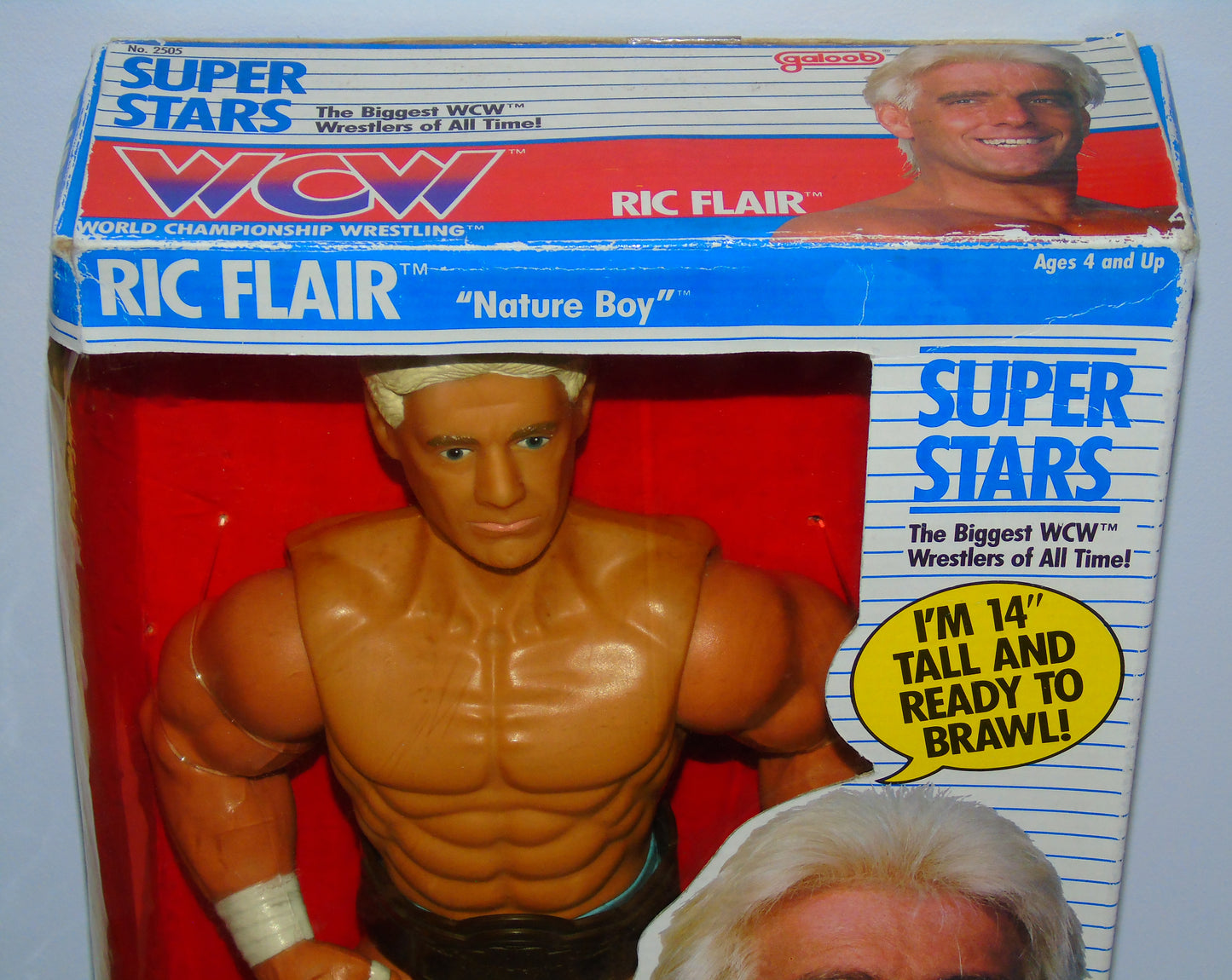 Nature Boy Ric Flair WCW Galoob 14" Boxed Wrestling Figure