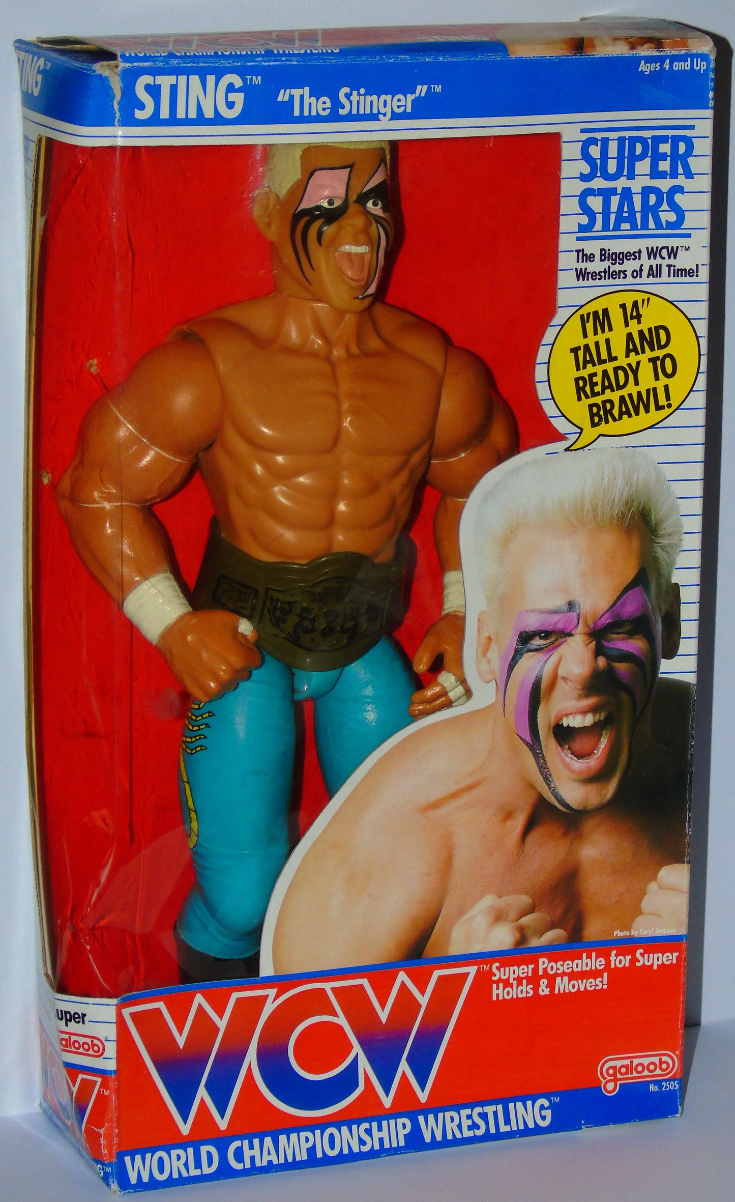 Sting WCW Galoob 14" Boxed Wrestling Figure
