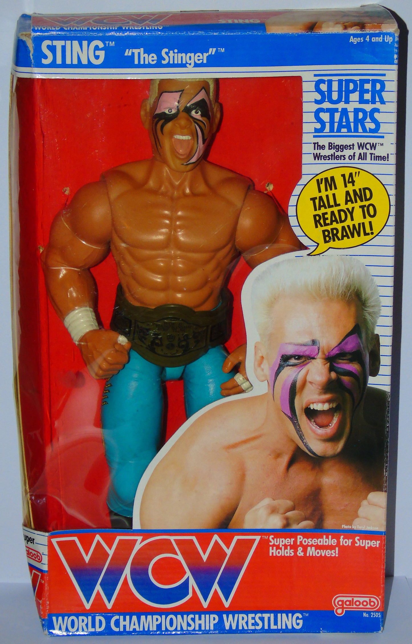 Sting WCW Galoob 14" Boxed Wrestling Figure