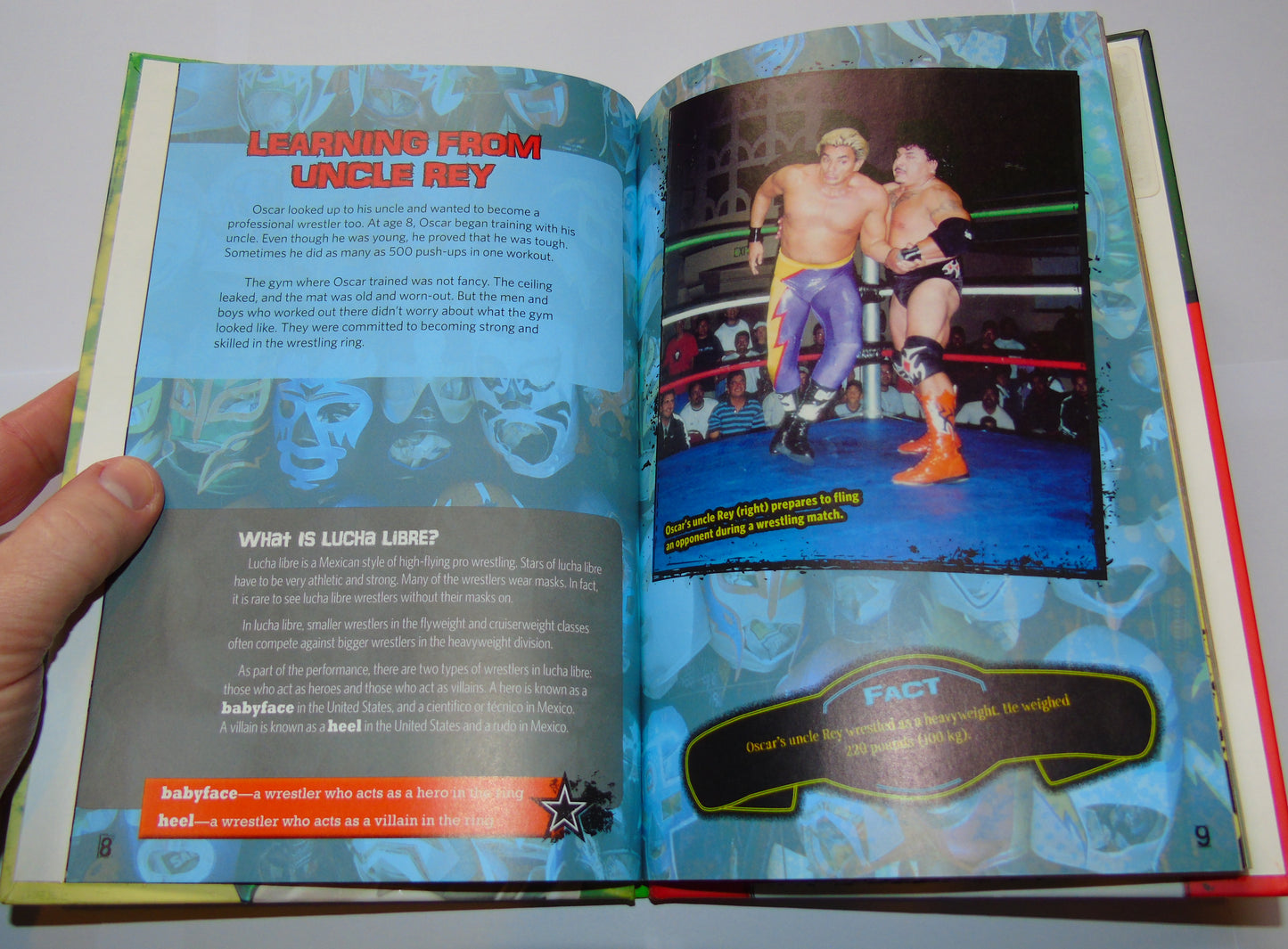 Rey Mysterio High Flying Luchador Hardback Book PWI