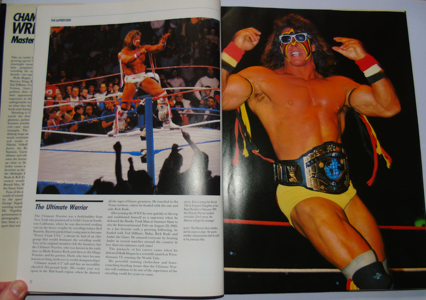 Championship Wrestling Masters Of Mayhem 1991 Annual