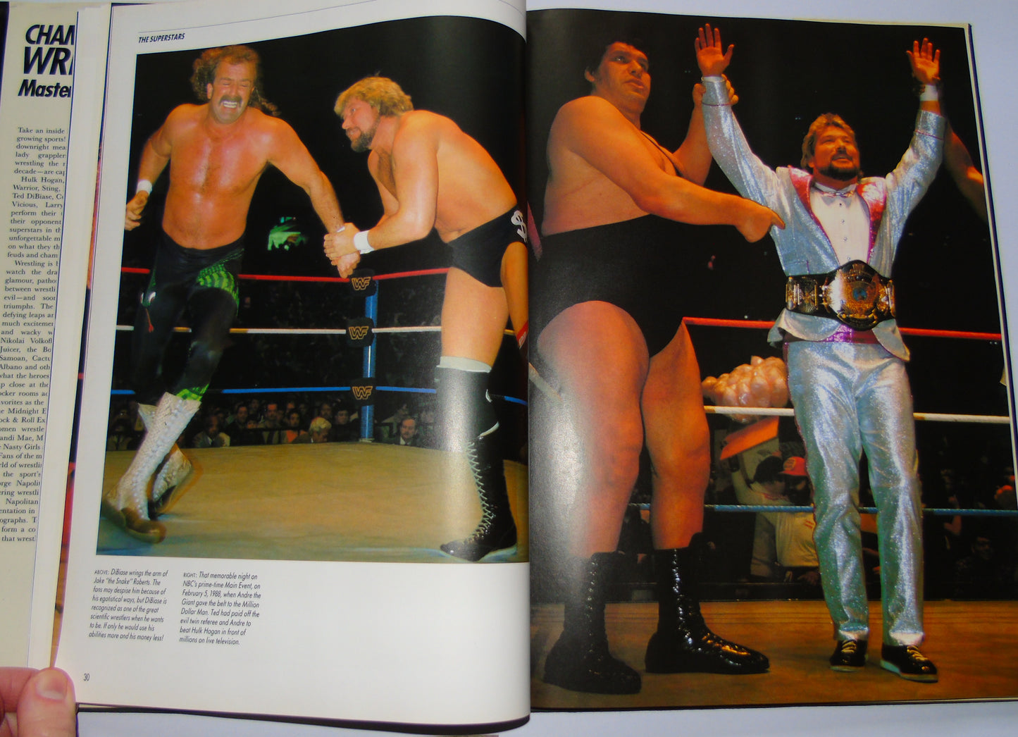 Championship Wrestling Masters Of Mayhem 1991 Annual