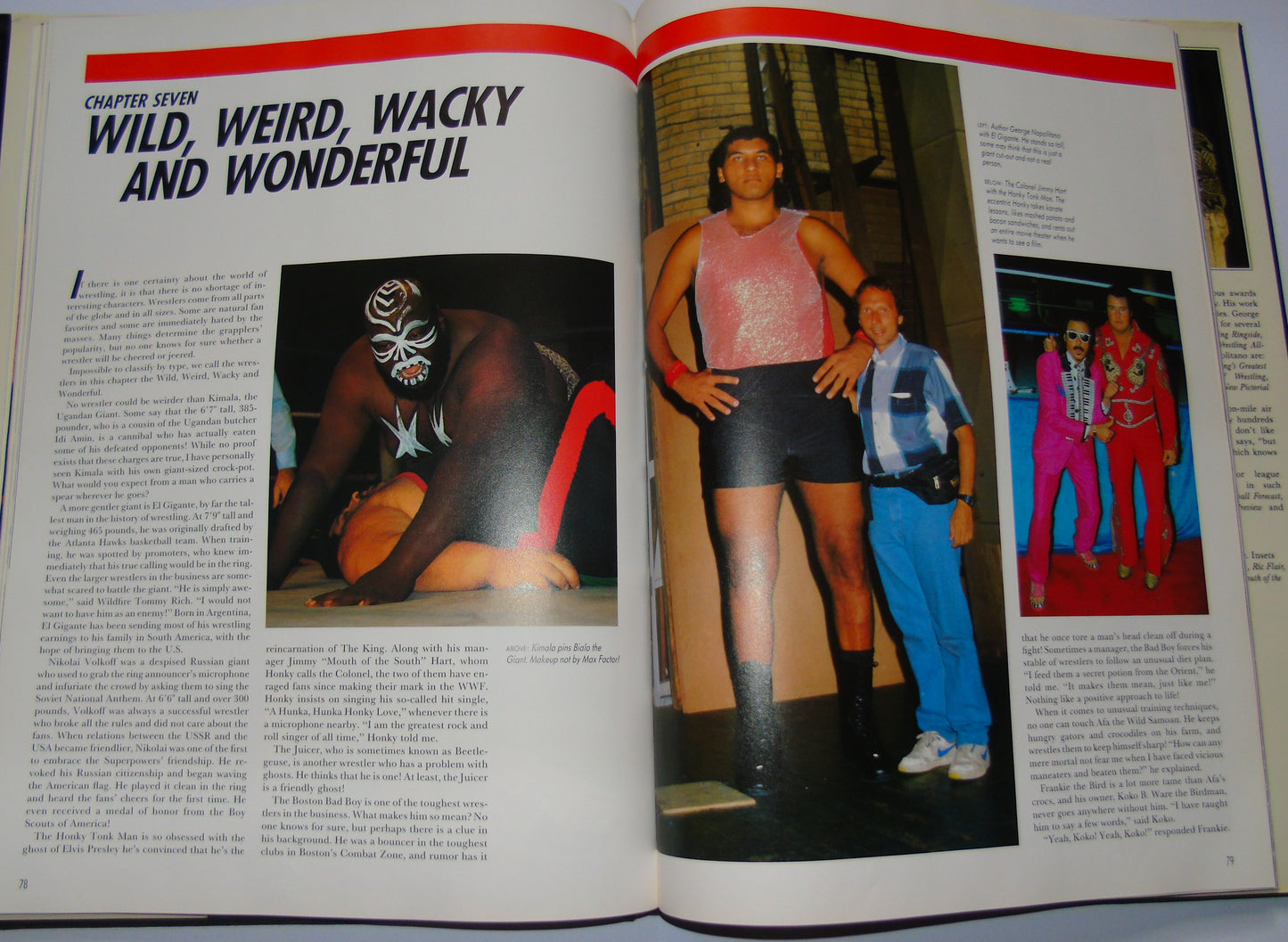 Championship Wrestling Masters Of Mayhem 1991 Annual