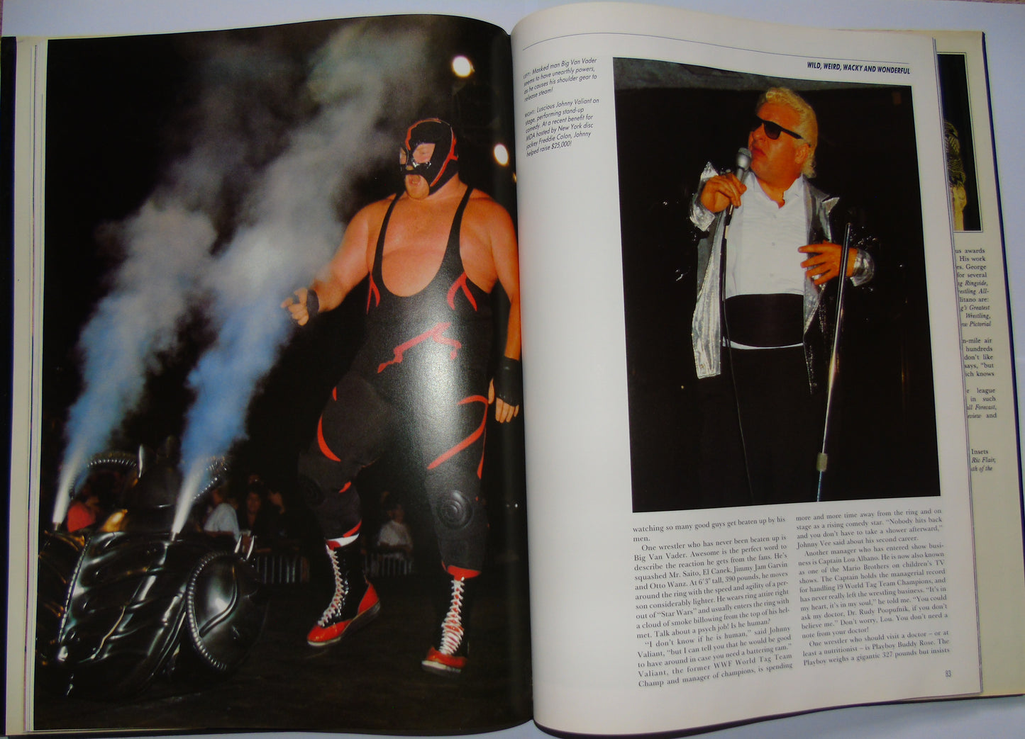 Championship Wrestling Masters Of Mayhem 1991 Annual
