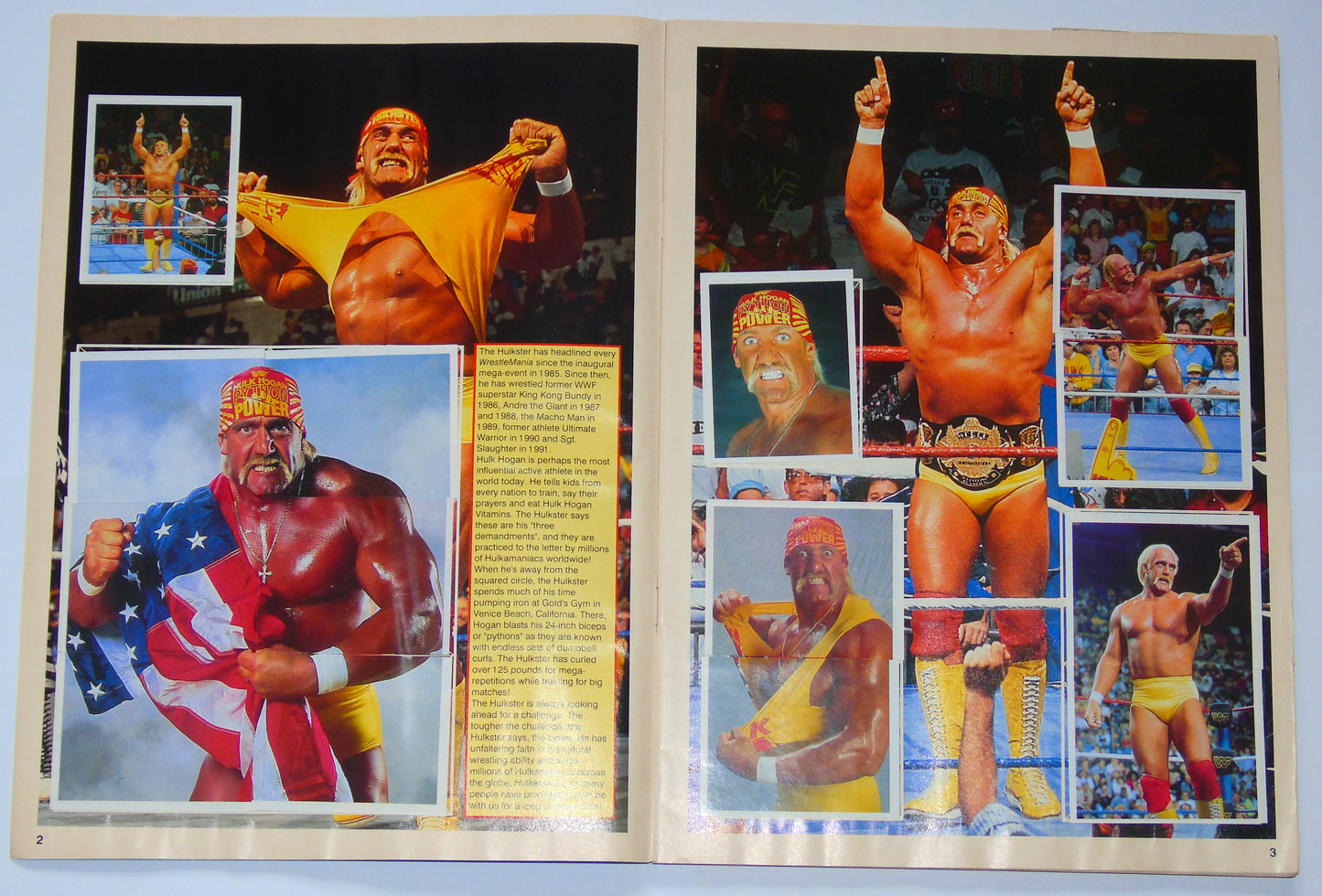 WWF Wrestling Merlin UK Sticker Album 1991 Complete With Merchandise Catalogue