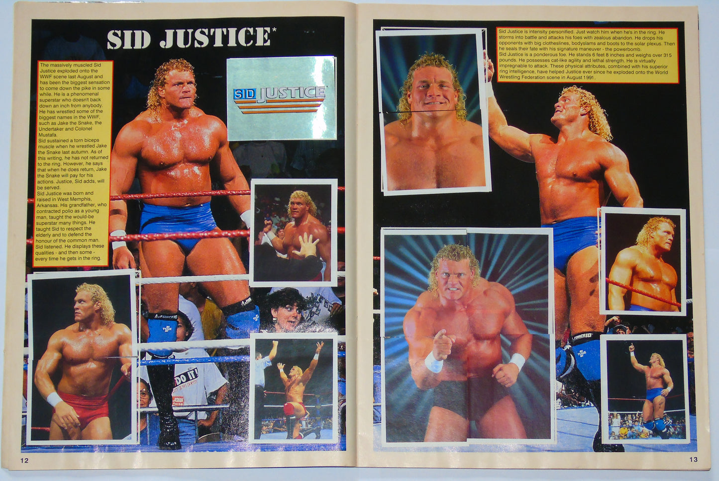 WWF Wrestling Merlin UK Sticker Album 1991 Complete With Merchandise Catalogue