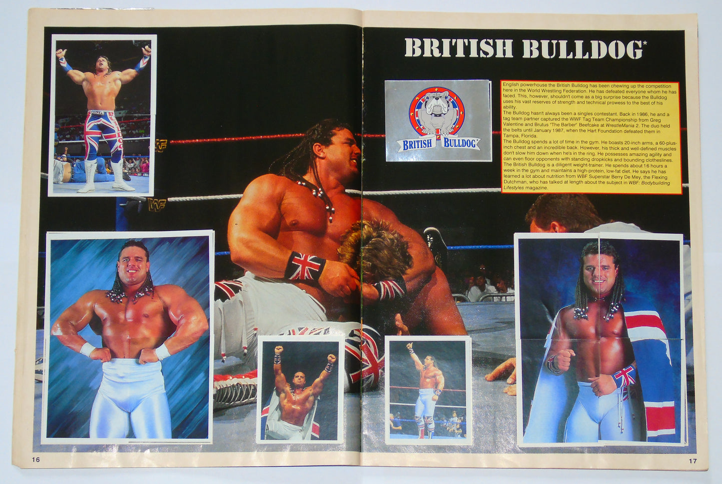 WWF Wrestling Merlin UK Sticker Album 1991 Complete With Merchandise Catalogue