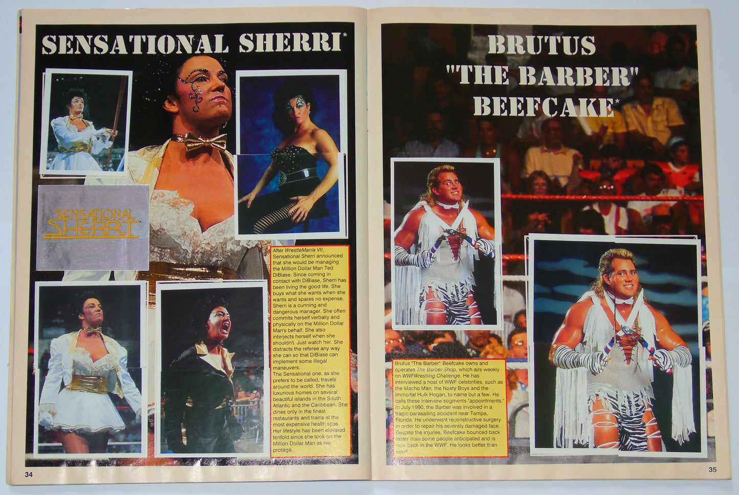 WWF Wrestling Merlin UK Sticker Album 1991 Complete With Merchandise Catalogue
