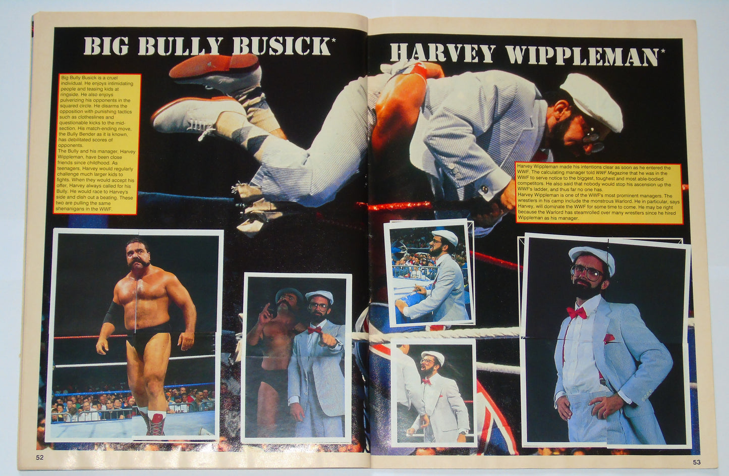 WWF Wrestling Merlin UK Sticker Album 1991 Complete With Merchandise Catalogue
