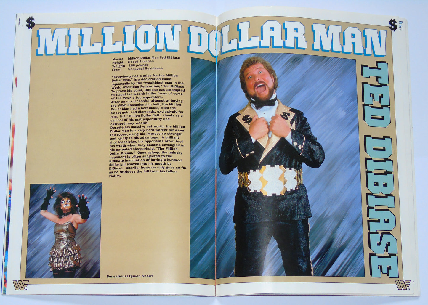 WWF Wrestling UK Rampage Tour 1991 Official Event Program With Match Card