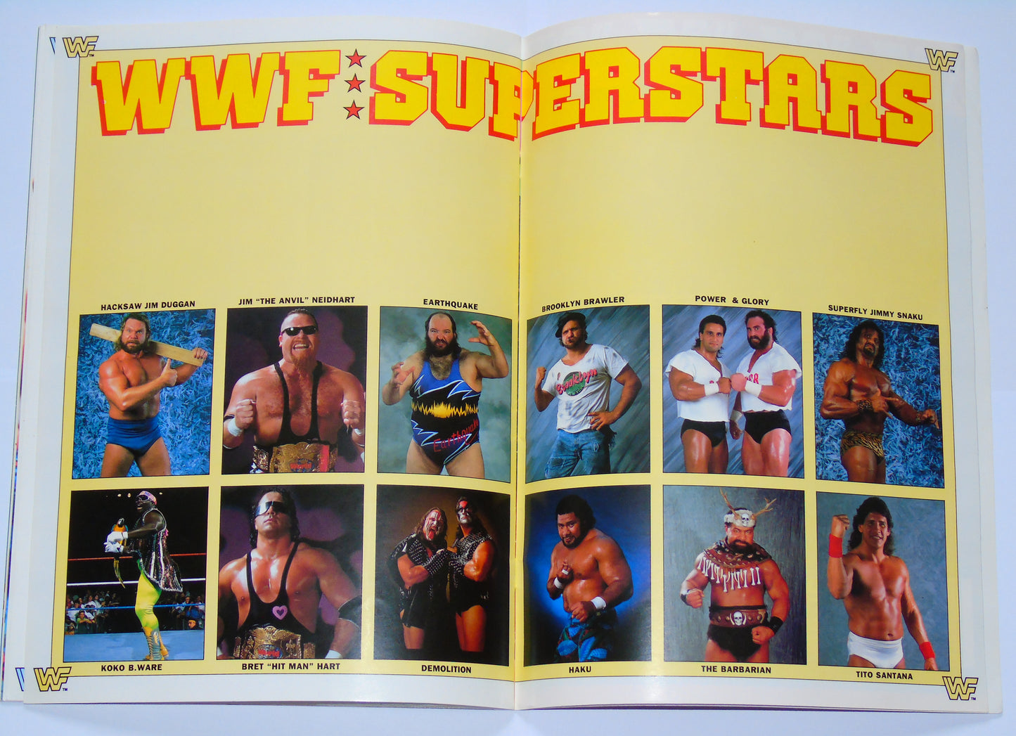 WWF Wrestling UK Rampage Tour 1991 Official Event Program With Match Card