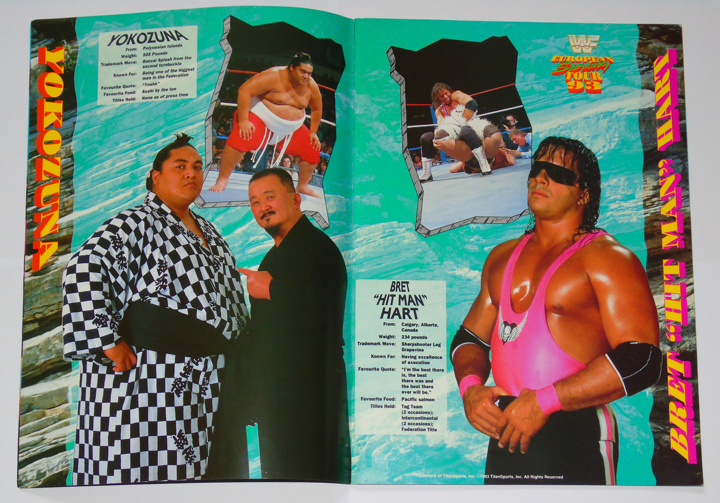 WWF Wrestling European Spring Tour 1993 Official Event Program