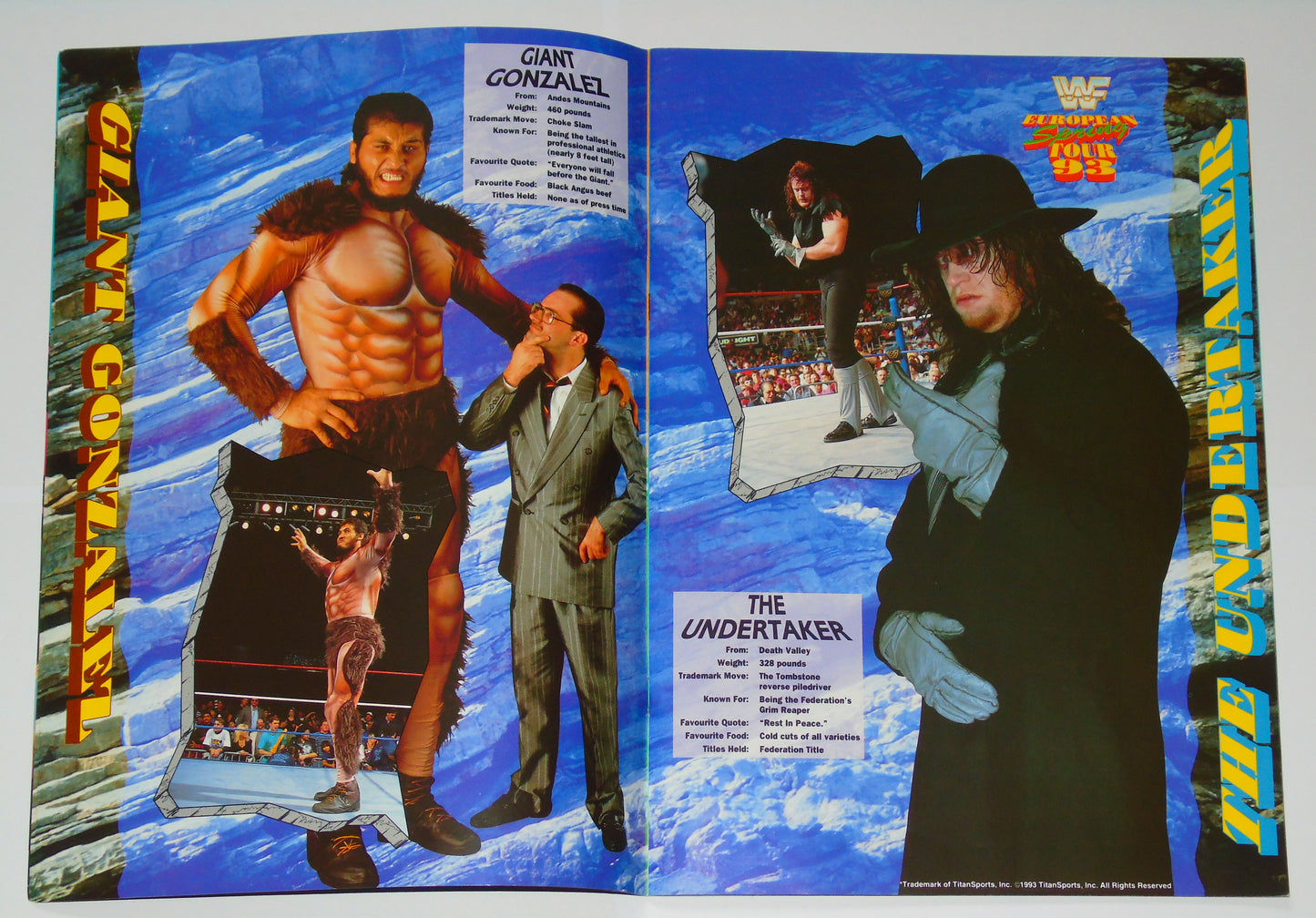 WWF Wrestling European Spring Tour 1993 Official Event Program