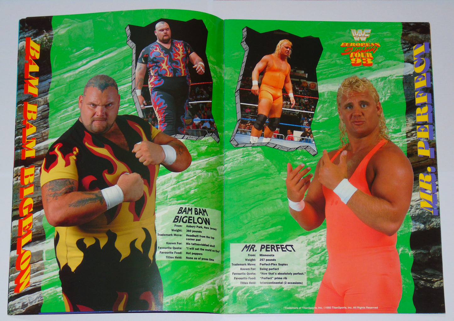 WWF Wrestling European Spring Tour 1993 Official Event Program