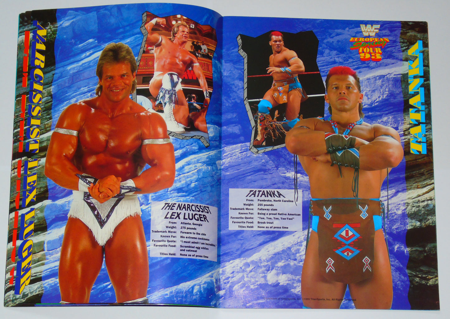 WWF Wrestling European Spring Tour 1993 Official Event Program