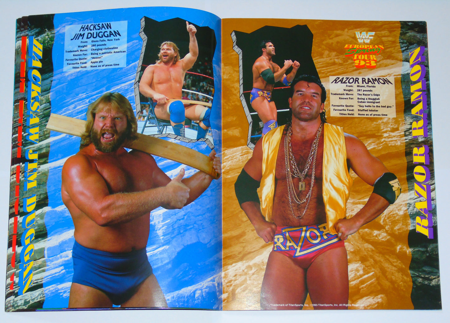 WWF Wrestling European Spring Tour 1993 Official Event Program
