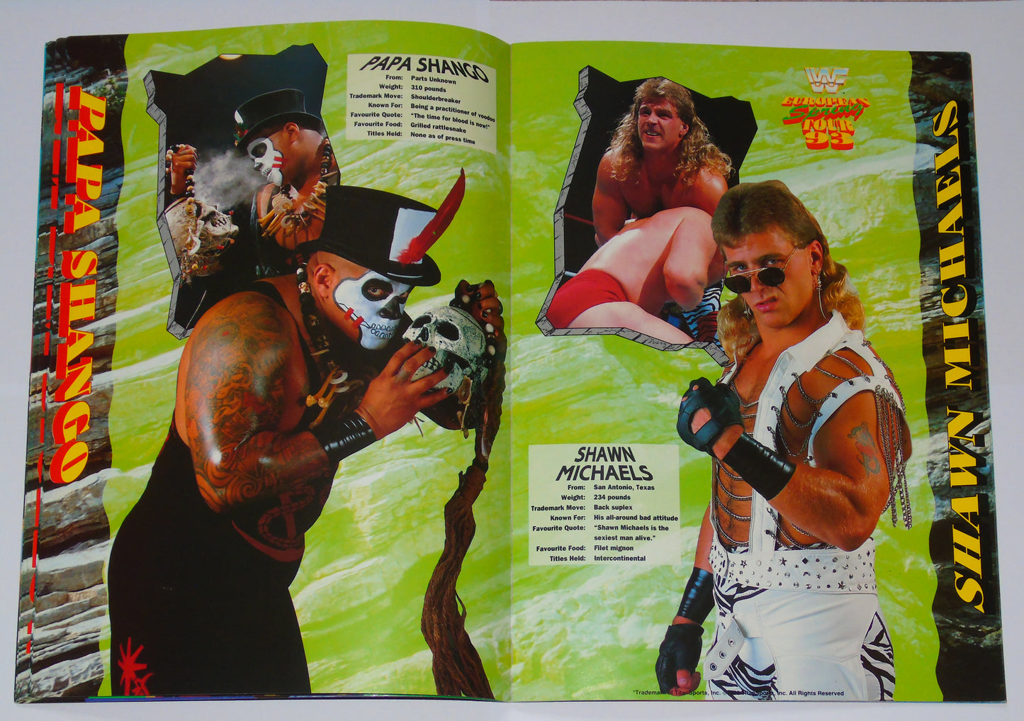 WWF Wrestling European Spring Tour 1993 Official Event Program
