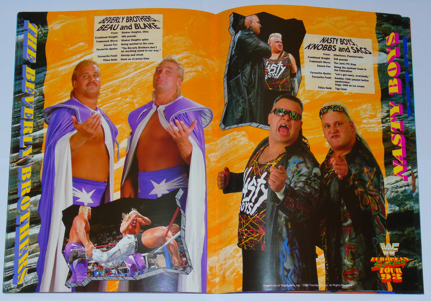 WWF Wrestling European Spring Tour 1993 Official Event Program