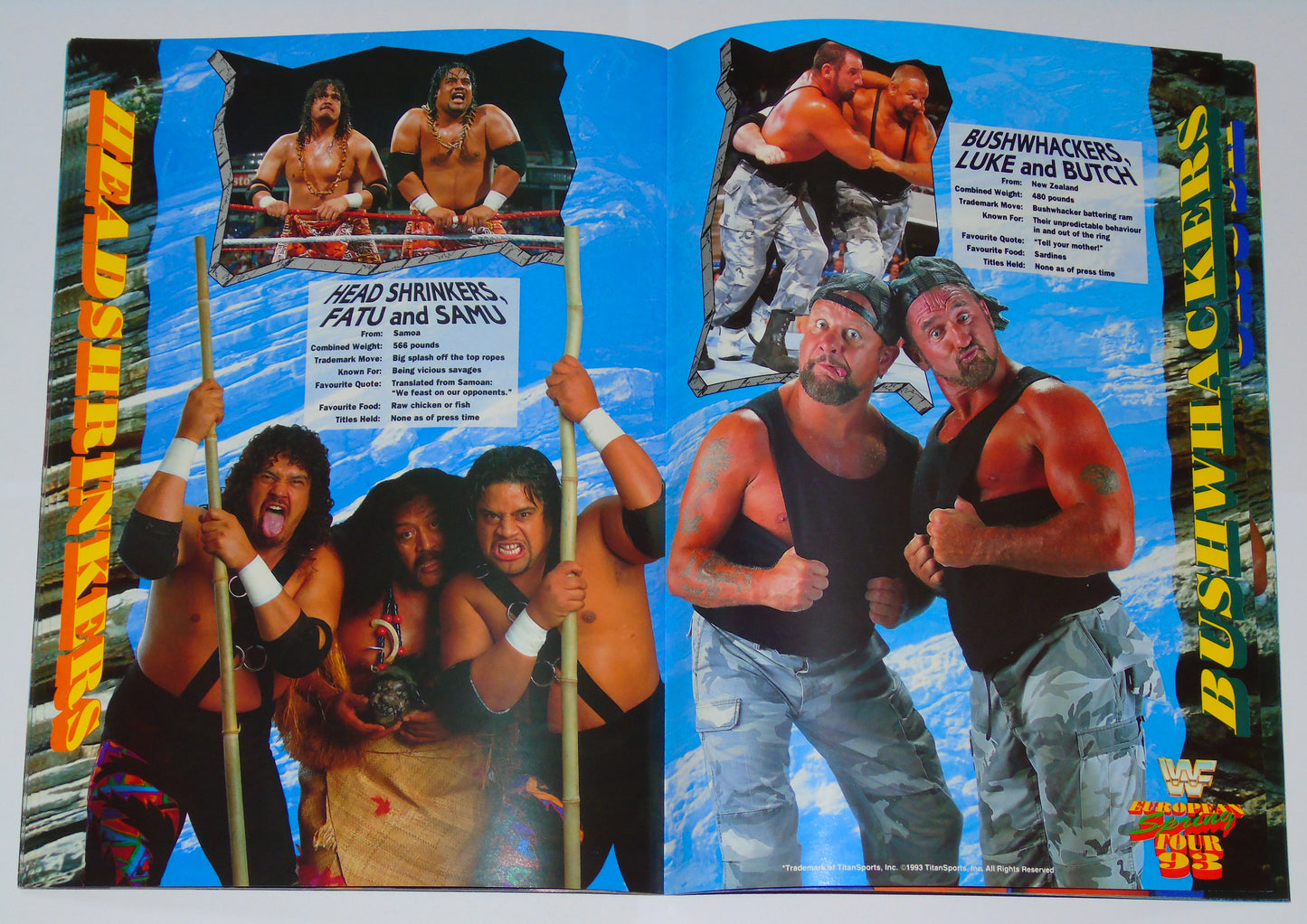 WWF Wrestling European Spring Tour 1993 Official Event Program