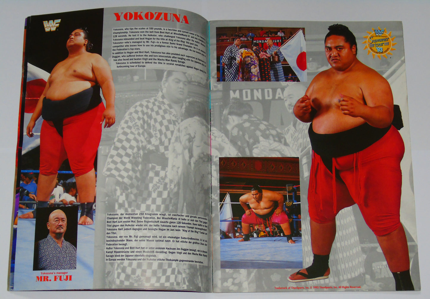WWF Wrestling European Summer Tour 1993 Official Event Program