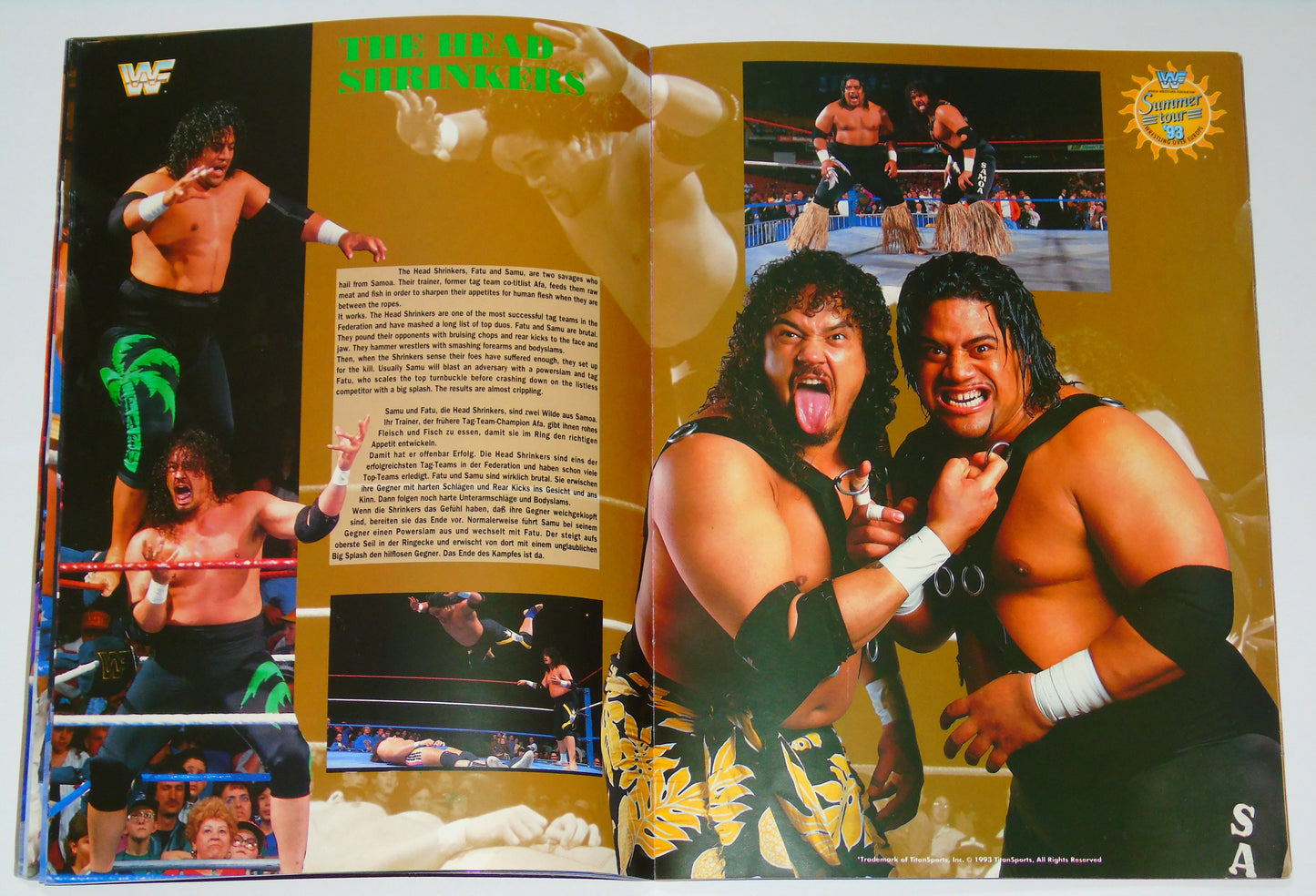 WWF Wrestling European Summer Tour 1993 Official Event Program