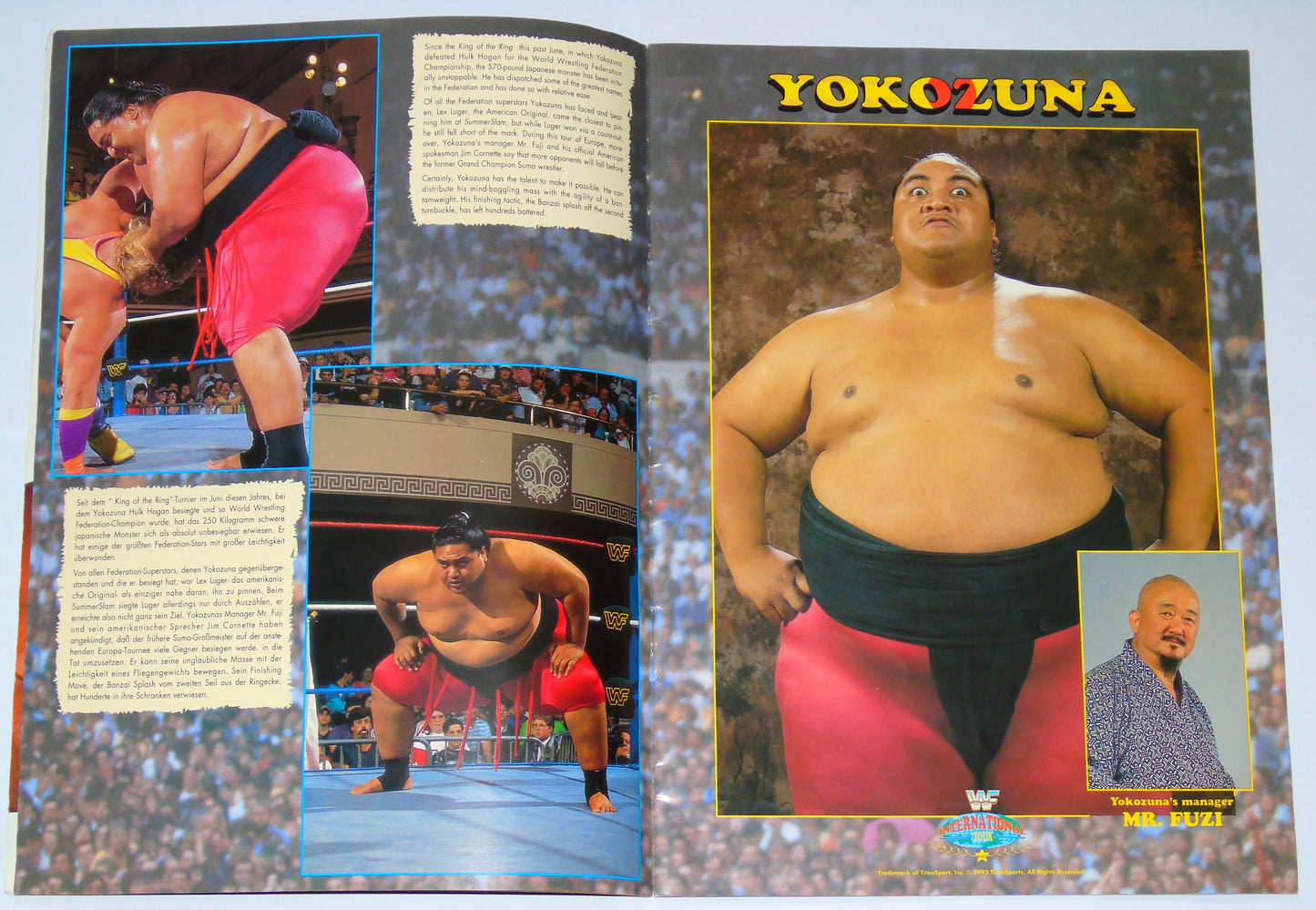 WWF Wrestling European International Tour 1993 Official Event Program