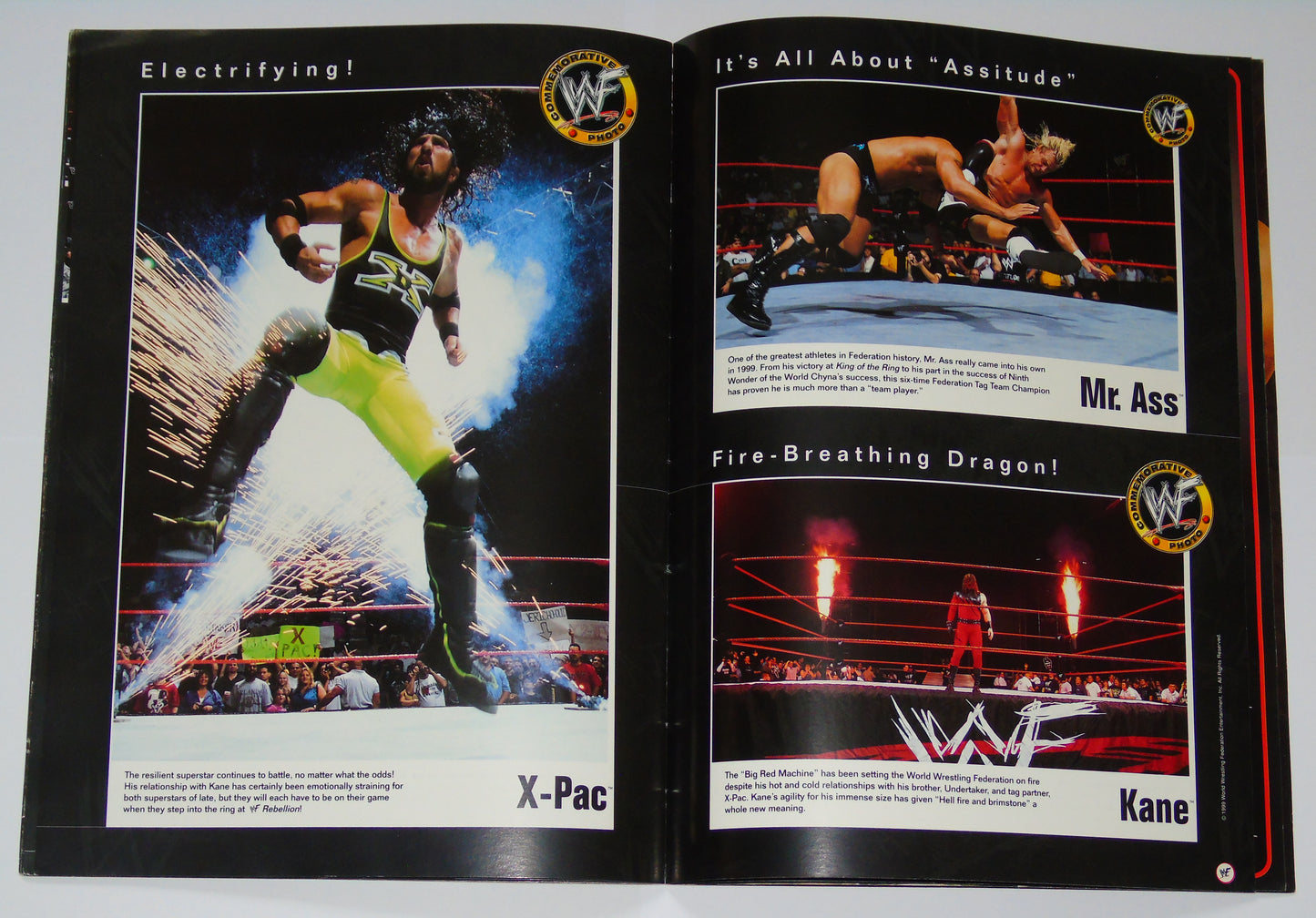 WWF Wrestling Rebellion Tour 1999 Official Event Program
