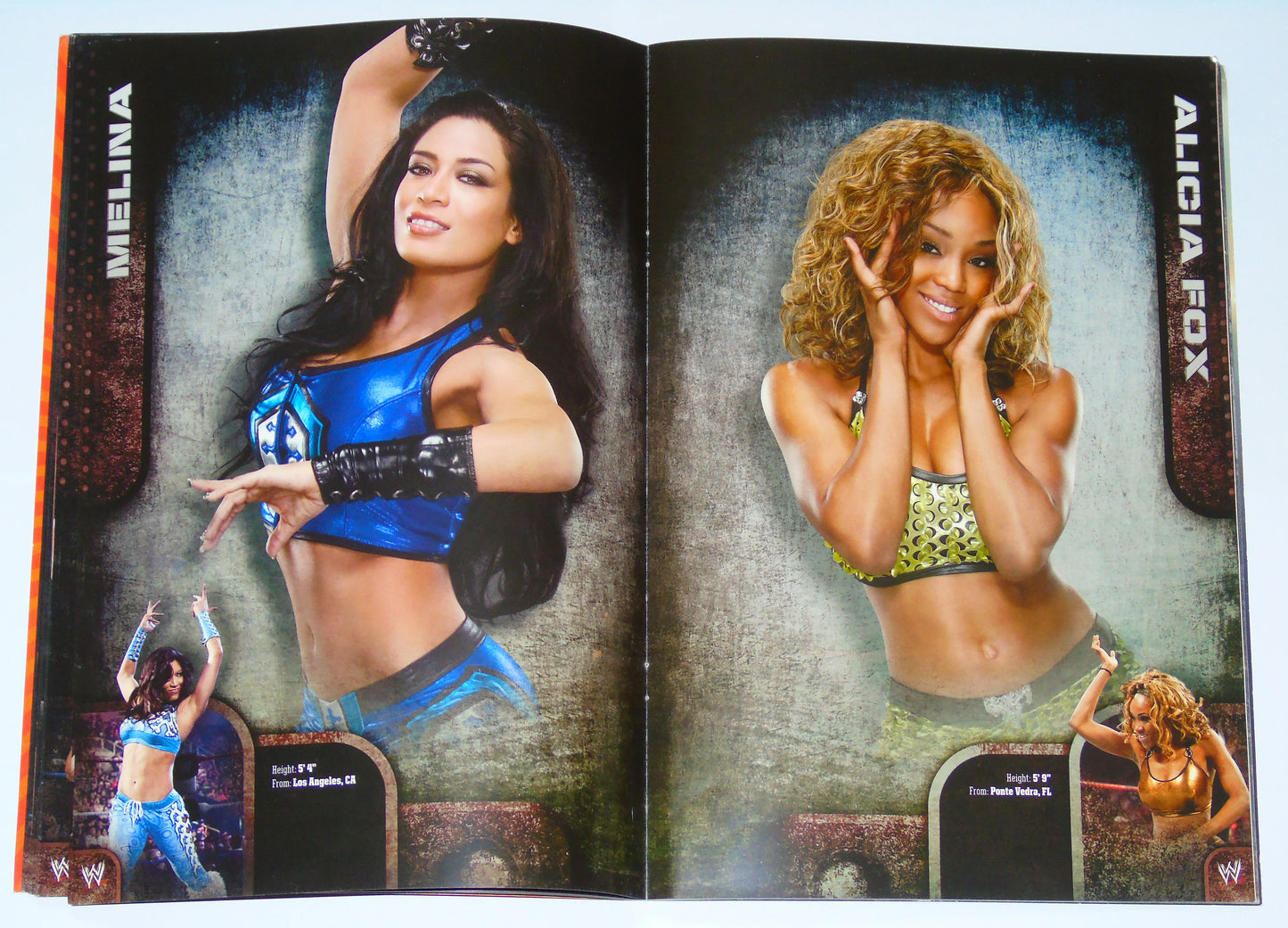 WWE Wrestling UK Tour 2010 Official Event Program Signed By Edge, Wade Barrett, Beth Phoenix, The Hart Dynasty & Rosa Mendes