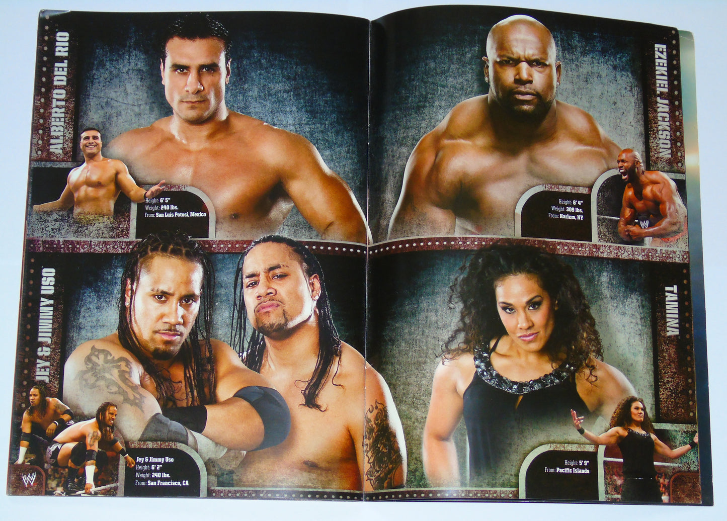 WWE Wrestling UK Tour 2010 Official Event Program Signed By Edge, Wade Barrett, Beth Phoenix, The Hart Dynasty & Rosa Mendes