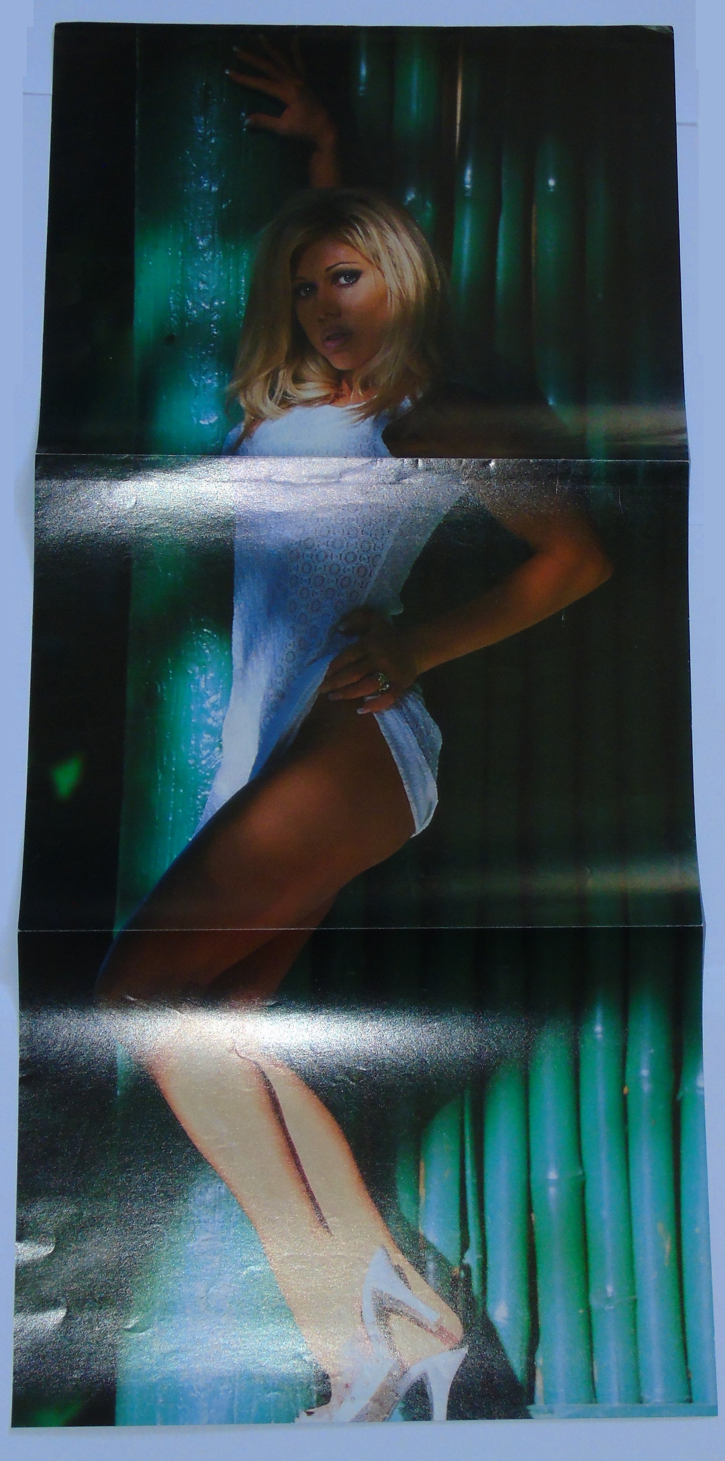 Terri Runnels Official WWF WWE Raw Wrestling Magazine Poster