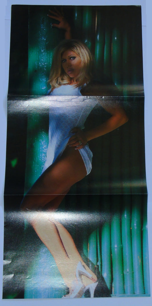 Terri Runnels Official WWF WWE Raw Wrestling Magazine Poster